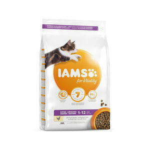IAMS Kitten & Junior - 1,5 kg