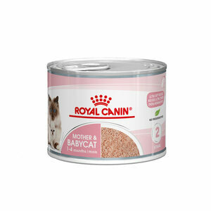 Royal Canin Mother & Babycat Mousse - 12 x 195 g