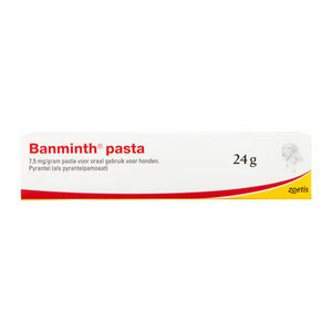 Banminth pasta hond tube 3x 24 gram