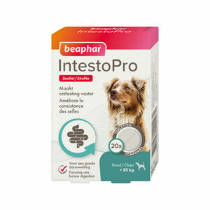 Beaphar IntestoPro Tabletten Hond vanaf 20 kg - 20 tabletten