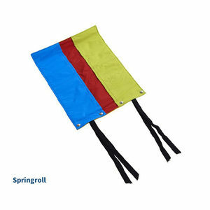 Buster Activity Mat - Springroll