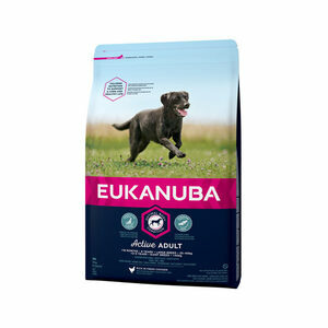 Eukanuba Dog - Active Adult - Large Breed - 2 x 12 kg