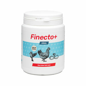 Finecto+ Oral - 300 gram