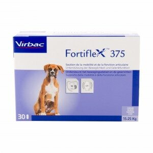Fortiflex Advanced Formula 375 - 30 tabletten