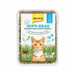 GimCat Kattengras Soft-Gras - 150 gram