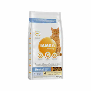 IAMS Cat Adult Dental - 10 kg