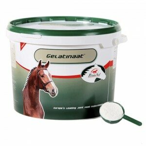 Primeval Gelatinaat paard - 5 kg