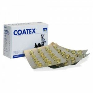 Vetplus Coatex - 60 capsules