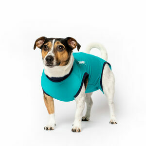 Jacketz Medical Body Suit hond - XS - Aqua Green