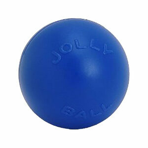 Jolly Push-n-Play (10 inch) 25 cm blauw