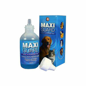Maxi Guard Gebit Reiningsgel - 2 x 60 ml