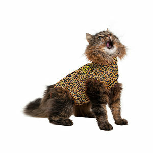 Medical Pet Shirt Kat Luipaard Print - S