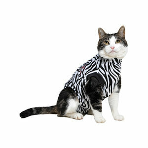 Medical Pet Shirt Kat Zebra Print - XS