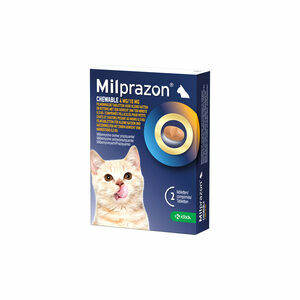 Milprazon Chewable 4mg/10mg - Kleine Kat - 2 tabletten
