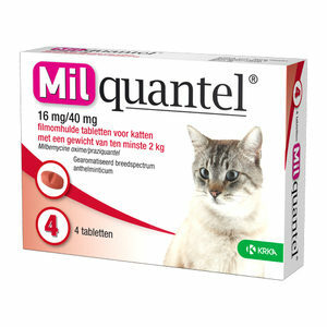Milquantel Grote Kat (16 mg) - 4 tabletten