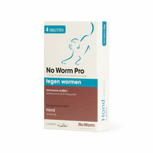 No Worm Pro Hond - 4 tabletten