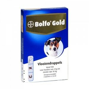 Bolfo Gold Hond 100 - 2 Pipetten