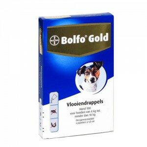Bolfo Gold Hond 100 - 4 Pipetten