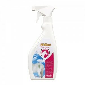 Excellent Hi Gloss Clean Spray - 500 ml