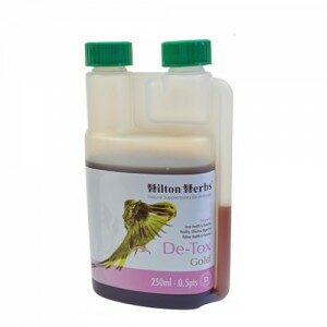 Hilton Herbs DE-TOX Gold for Birds - 250 ml
