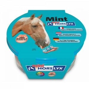 Horslyx Mint Mini - 650 g
