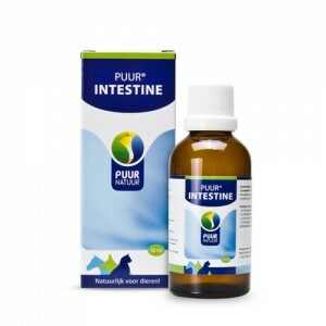 Puur Intestine - 50 ml