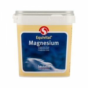 Sectolin Magnesium - 1 kg