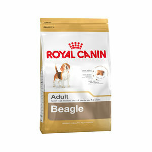 Royal Canin Beagle Adult - 12 kg