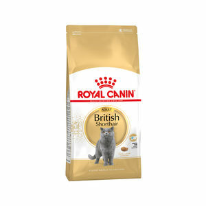 Royal Canin British Shorthair Adult - 10 kg