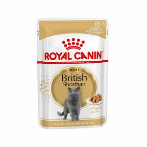Royal Canin British Shorthair Adult Wet - 12 x 85 g