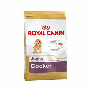 Royal Canin Cocker Junior - 3 kg