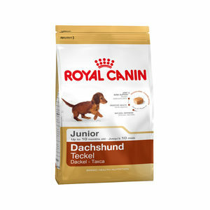 Royal Canin Dachshund Puppy - 1,5 kg