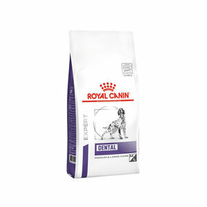 Royal Canin Dental Hond - 6 kg