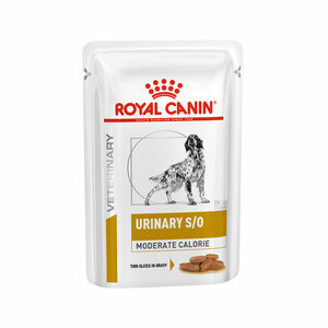 Royal Canin Urinary S/O Moderate Calorie Wet Hond - 24 x 100 g