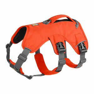 Ruffwear Web Master Harness - L/XL - Blaze Orange