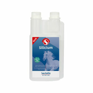 Sectolin Silicium - 1 liter