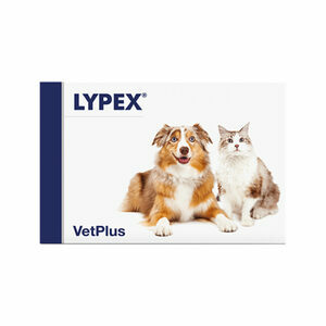 Vetplus Lypex - 2 x 60 capsules